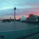 Shortcodes - 2024-06-08